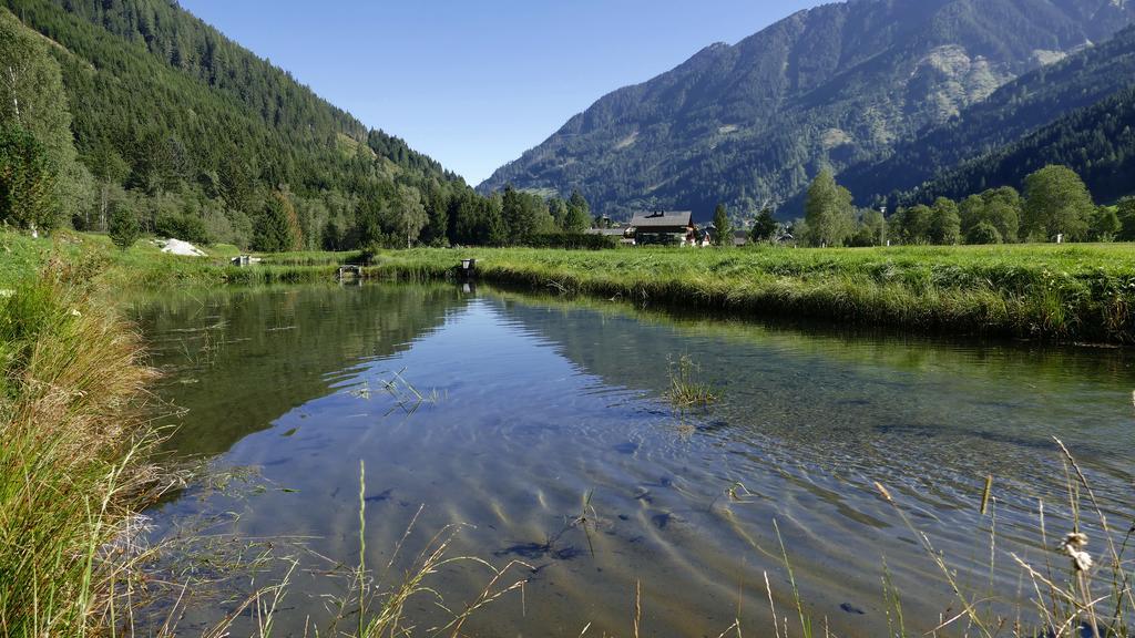Gasthof Zur Gams Donnersbachwald Eksteriør bilde